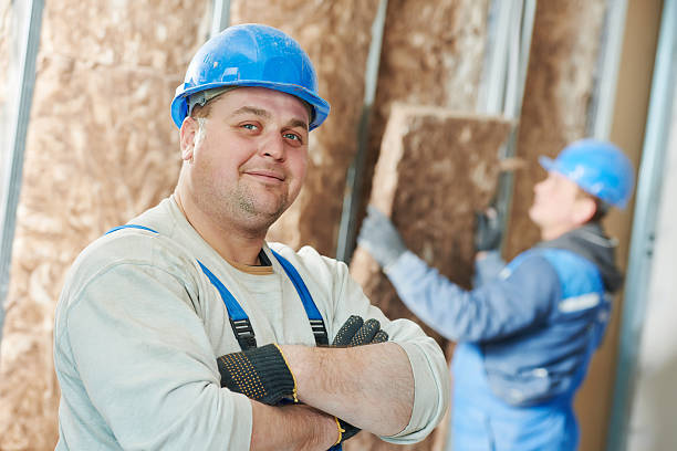 Best Cellulose Insulation in Villa Ridge, MO