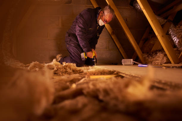 Best Residential Insulation in Villa Ridge, MO